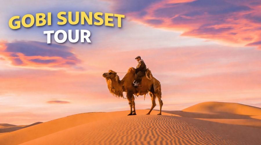 ChatGPT Image Jan 19, 2026, 10_04_39 AM (2)