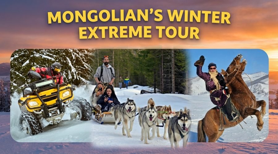 hf_20260212_040557_705f6614-9bba-4870-bd6a-f9eadd692e8b (1)