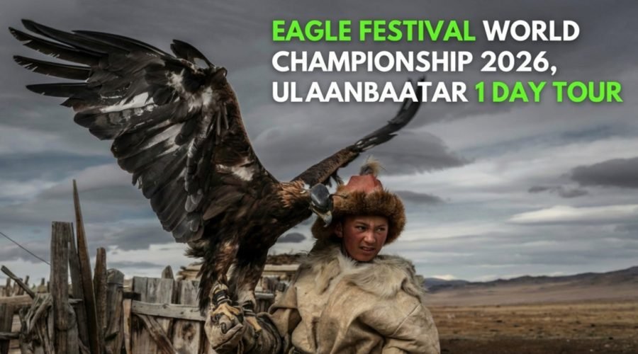 hf_20260227_064553_a0130a06-d9a2-480e-bed0-bdb37b97d77a (2)